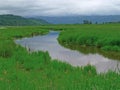 Creek flowing through Steigerwald Preserve in Washougal, WA