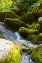 A creek and flowing water close up Royalty Free Stock Photo