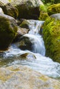 A creek and flowing water close up Royalty Free Stock Photo