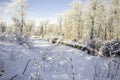 Frozen creek bed in Fish Creek Park Royalty Free Stock Photo