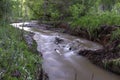 A Creek that Flows to the Minnesota River