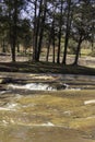 The Creek in the Foresst at Flat Rock Royalty Free Stock Photo