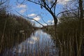 Creek in the forest with eflection of blue sky and white fluffy clouds Royalty Free Stock Photo