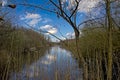 Creek in the forest with eflection of blue sky and white fluffy clouds Royalty Free Stock Photo