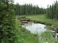 Creek and forest near Wawa Ontario Canada