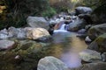 Creek in the forest with rocks Royalty Free Stock Photo