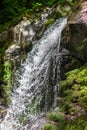A creek in a green forest with a waterfall, shot with a long exposure Royalty Free Stock Photo
