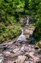 Creek in green forest with waterfall Royalty Free Stock Photo