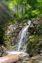 Creek in green forest with waterfall Royalty Free Stock Photo