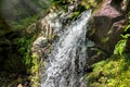 Creek in green forest with waterfall Royalty Free Stock Photo