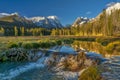 Creek has been damed by beavers in Idaho Royalty Free Stock Photo