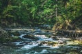 Creek in High Tatras mountains, Slovakia