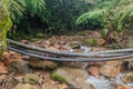 Creek with hoses near Mount Talinis, Negros island, Philippin