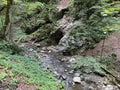 The creek Jasle in the significant landscape of the Devil`s Passage canyon - Croatia / Potok Jasle u kanjonu VraÃÂ¾ji prolaz