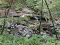 The creek Jasle in the significant landscape of the Devil`s Passage canyon - Croatia / Potok Jasle u kanjonu VraÃÂ¾ji prolaz