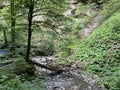 The creek Jasle in the significant landscape of the Devil`s Passage canyon - Croatia / Potok Jasle u kanjonu VraÃÂ¾ji prolaz