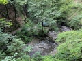 The creek Jasle in the significant landscape of the Devil`s Passage canyon - Croatia / Potok Jasle u kanjonu VraÃÂ¾ji prolaz