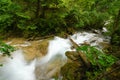Creek of Jiuzhai Valley National Park Royalty Free Stock Photo