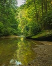 Creek junction in Eastern Kentucky Royalty Free Stock Photo