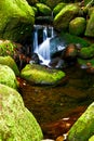 Creek in jungle of Hawaii Royalty Free Stock Photo