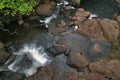 Creek in jungle of Hawaii Royalty Free Stock Photo