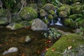 Creek in jungle of Hawaii Royalty Free Stock Photo