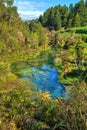 Creek leading from the beautiful Blue Spring, Te Waihou, New Zealand