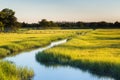 Creek and marshy field