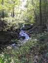 Creek in the Maryland Woods