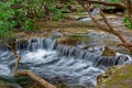 Creek with mini waterfalls Royalty Free Stock Photo