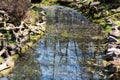 In the creek is mirrored trees and blue sky Royalty Free Stock Photo