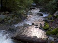 Creek with moss covered rocks Royalty Free Stock Photo