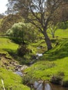 Creek, Mount Pleasant, South Australia