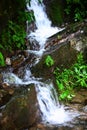 Creek in mountain Royalty Free Stock Photo
