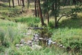 Creek in Mountain Landscape in the Black Hills, South Dakota Royalty Free Stock Photo