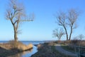 Creek mouth flowing between bare trees into the Baltic Sea against a blue sky in Redewisch near Boltenhagen, landscape in northern