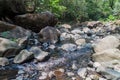 Creek in national park El Imposible, El Salvad