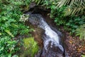 A creek near Git Git waterfall on Bali island Royalty Free Stock Photo