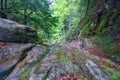 Creek over Dion village under Mount Olympus in Greece during spring Royalty Free Stock Photo