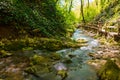 Creek in park Berendeyevo Tsarstvo, Sochi, Russia