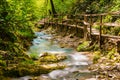 Creek in park Berendeyevo Tsarstvo, Sochi, Russia