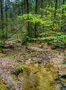 Creek in Red River Gorge Royalty Free Stock Photo