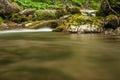 Creek, rocks and vegetation