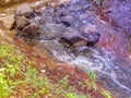 Creek with running cold water on a summer day Royalty Free Stock Photo