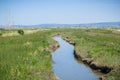 Creek running among the marshes of San Francisco bay, Mountain View, California Royalty Free Stock Photo