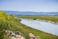 Creek running among the marshes of San Francisco bay, Mountain View, California Royalty Free Stock Photo