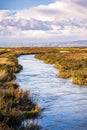 Creek running among the marshes of San Francisco bay, Mountain View, California