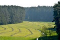 A creek running through a mown field. Royalty Free Stock Photo