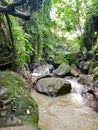 Creek running over the rocks