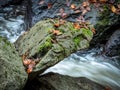Creek with running water Royalty Free Stock Photo